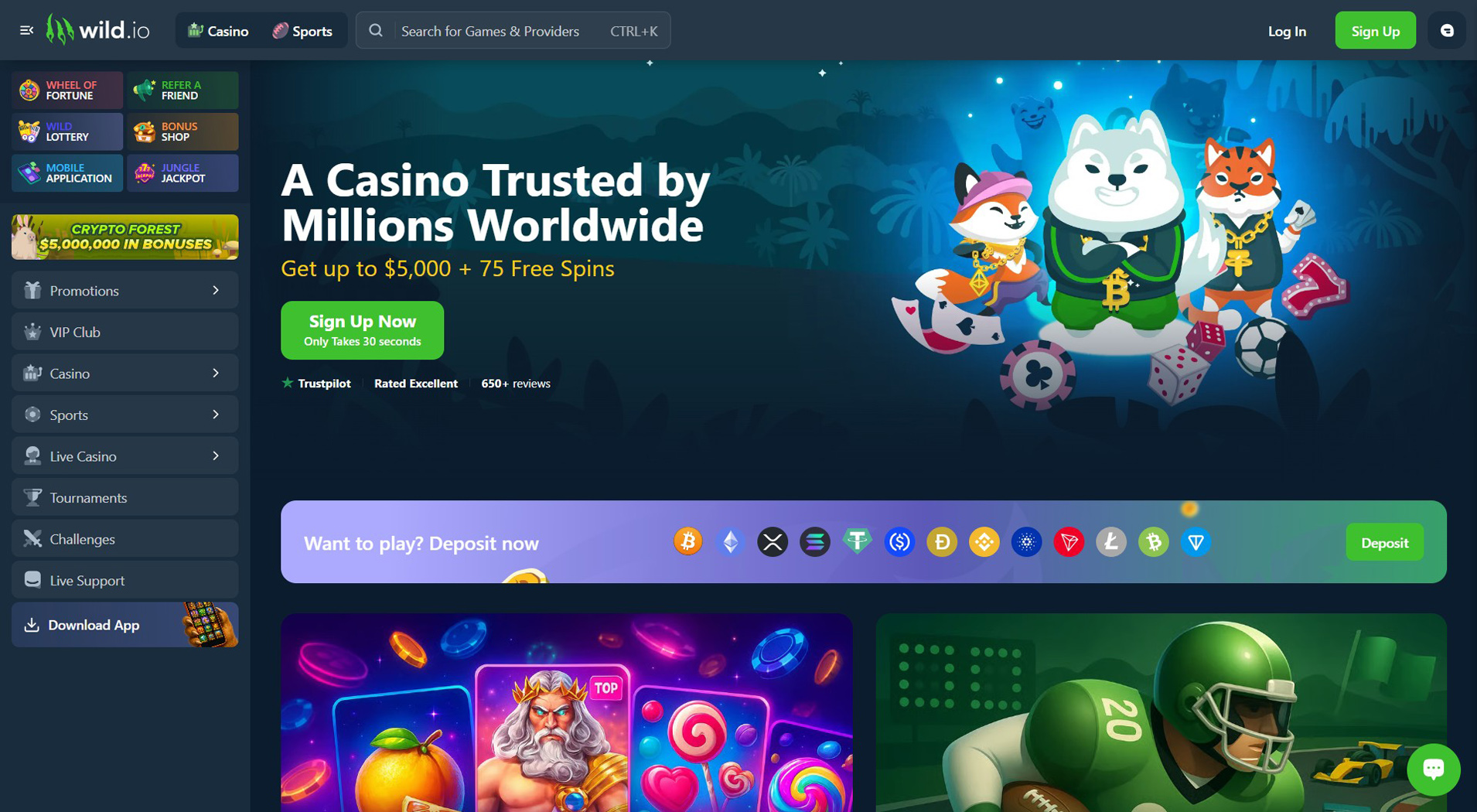 5. Wild.io - Mobile XRP Casino Choice